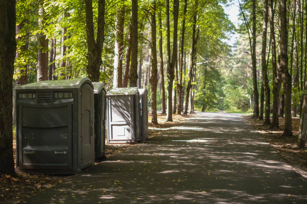 Porta potty rental for festivals in Foley, MN